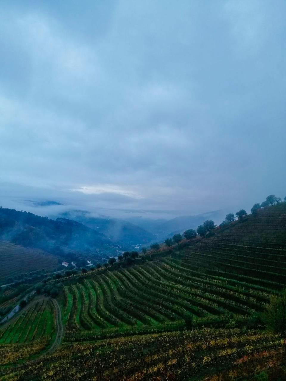 Вілла Quinta De Baixo Vila Marim Екстер'єр фото
