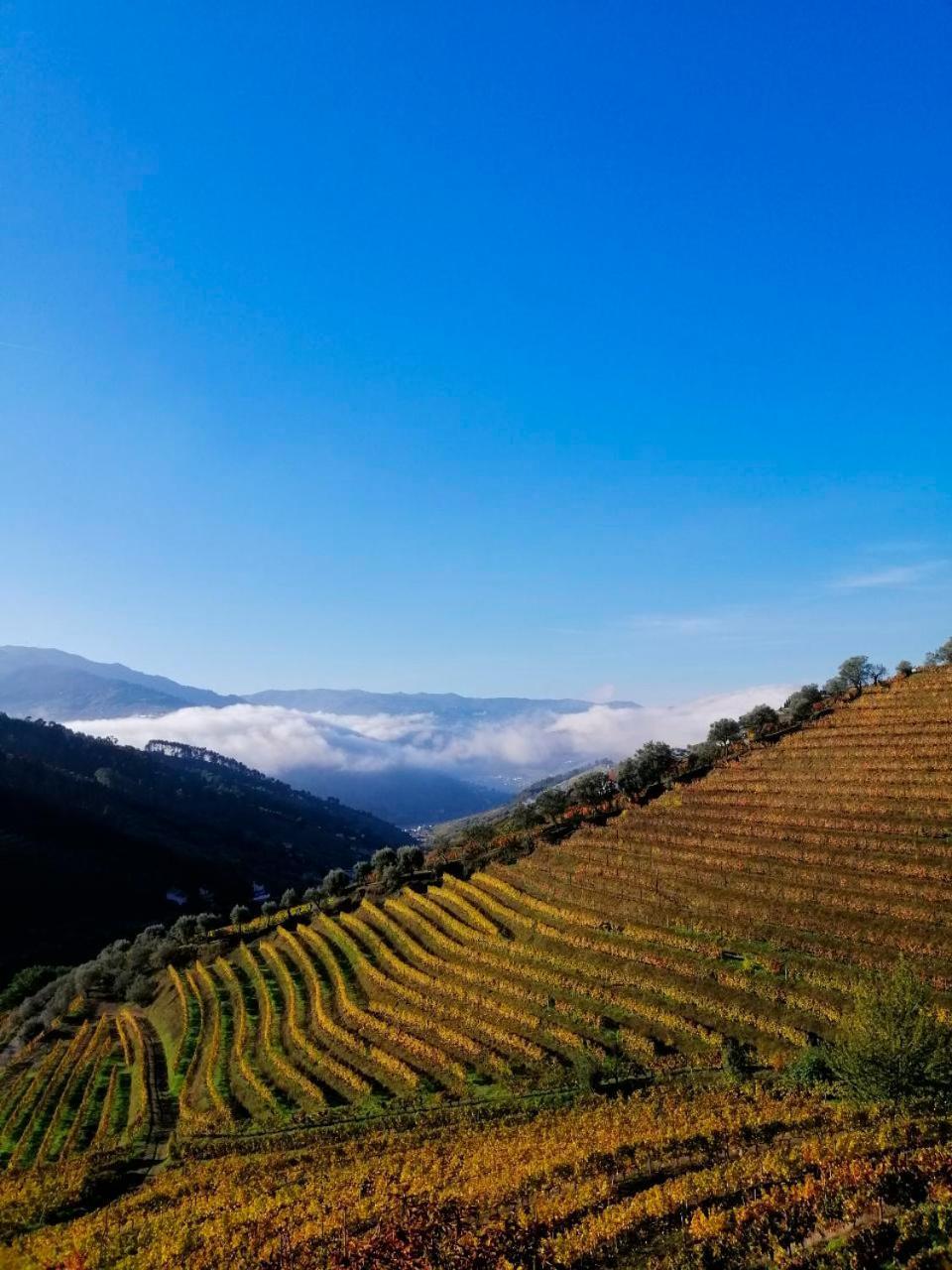 Вілла Quinta De Baixo Vila Marim Екстер'єр фото