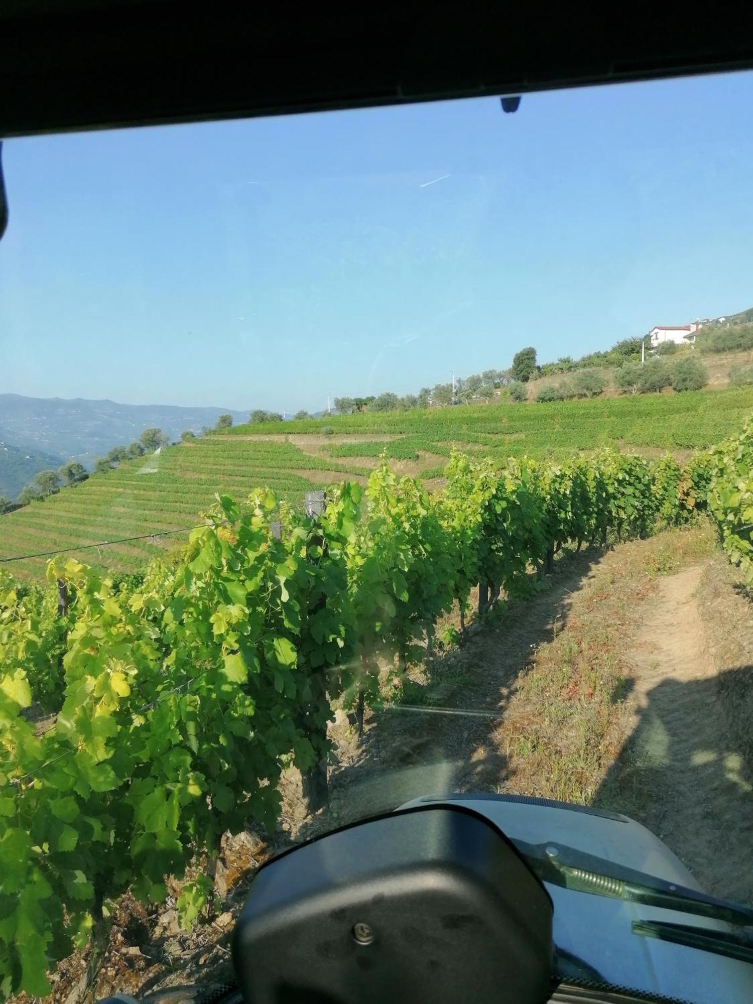 Вілла Quinta De Baixo Vila Marim Екстер'єр фото
