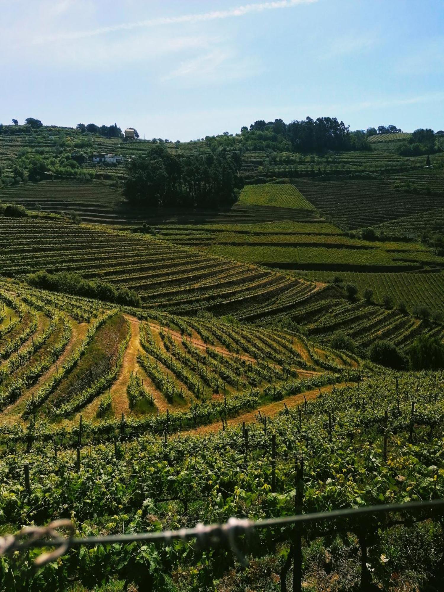 Вілла Quinta De Baixo Vila Marim Екстер'єр фото