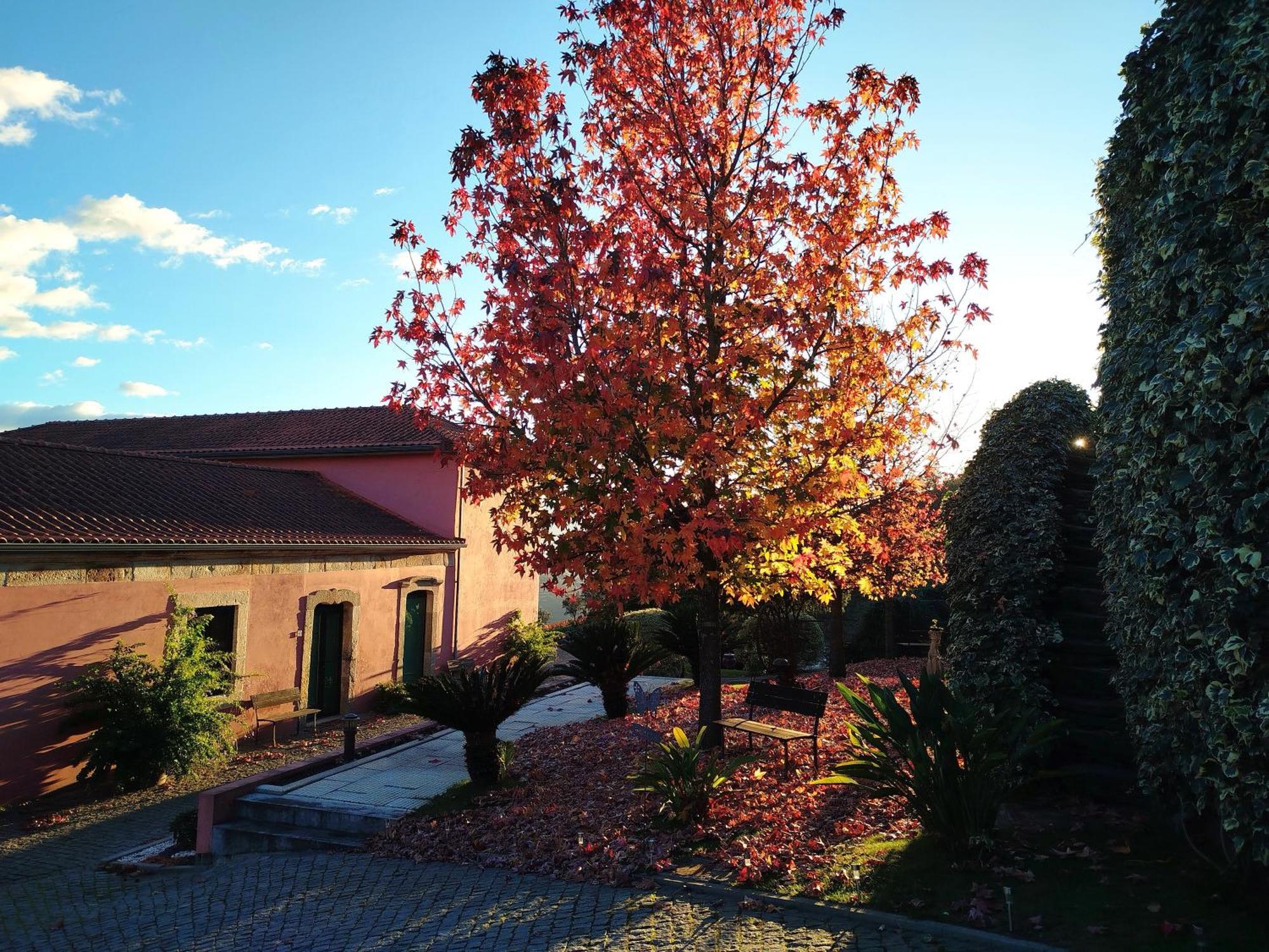 Вілла Quinta De Baixo Vila Marim Екстер'єр фото